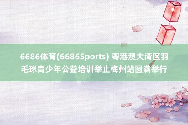 6686体育(6686Sports) 粤港澳大湾区羽毛球青少年公益培训举止梅州站圆满举行