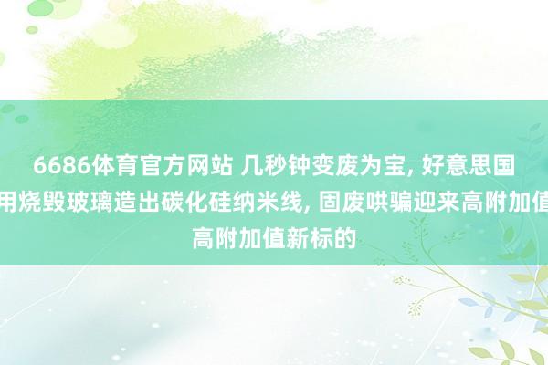 6686体育官方网站 几秒钟变废为宝, 好意思国科学家用烧毁玻璃造出碳化硅纳米线, 固废哄骗迎来高附加值新标的