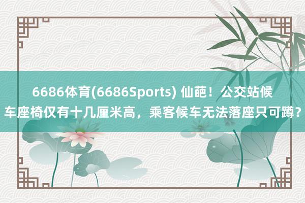 6686体育(6686Sports) 仙葩！公交站候车座椅仅有十几厘米高，乘客候车无法落座只可蹲？