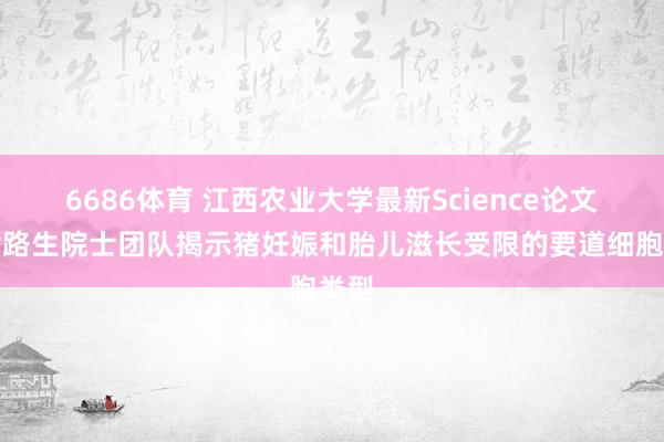 6686体育 江西农业大学最新Science论文：黄路生院士团队揭示猪妊娠和胎儿滋长受限的要道细胞类型
