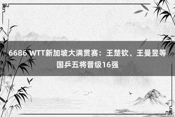 6686 WTT新加坡大满贯赛：王楚钦、王曼昱等国乒五将晋级16强