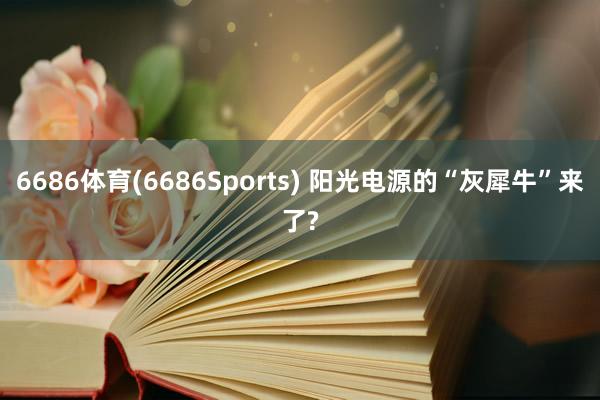 6686体育(6686Sports) 阳光电源的“灰犀牛”来了?