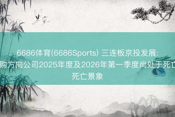 6686体育(6686Sports) 三连板京投发展: 拟收购方向公司2025年度及2026年第一季度尚处于死亡景象