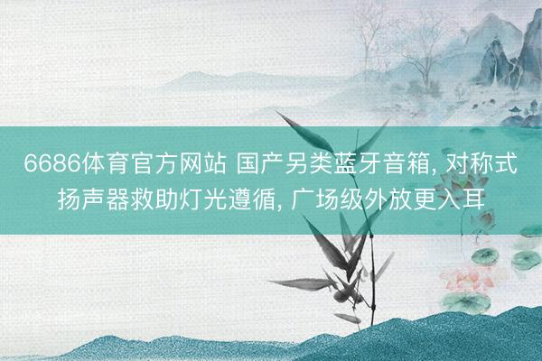 6686体育官方网站 国产另类蓝牙音箱， 对称式扬声器救助灯光遵循， 广场级外放更入耳