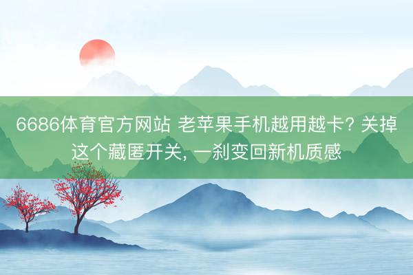 6686体育官方网站 老苹果手机越用越卡? 关掉这个藏匿开关， 一刹变回新机质感