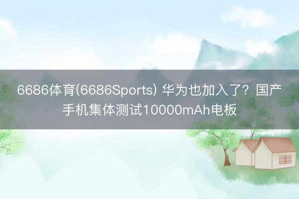 6686体育(6686Sports) 华为也加入了？国产手机集体测试10000mAh电板