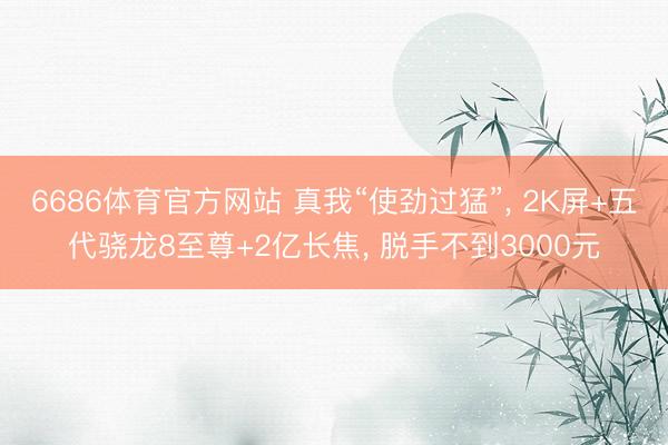 6686体育官方网站 真我“使劲过猛”， 2K屏+五代骁龙8至尊+2亿长焦， 脱手不到3000元