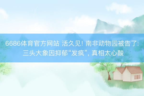 6686体育官方网站 活久见! 南非动物园被告了: 三头大象因抑郁“发疯”, 真相太心酸
