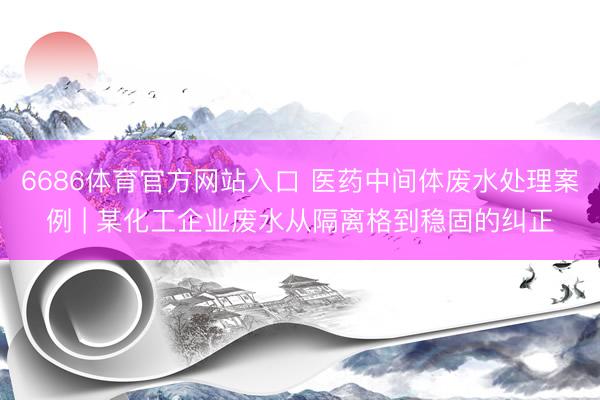 6686体育官方网站入口 医药中间体废水处理案例 | 某化工企业废水从隔离格到稳固的纠正