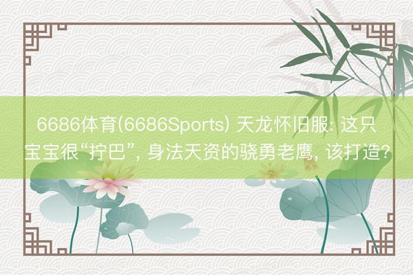 6686体育(6686Sports) 天龙怀旧服: 这只宝宝很“拧巴”， 身法天资的骁勇老鹰， 该打造?