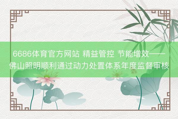 6686体育官方网站 精益管控 节能增效——佛山照明顺利通过动力处置体系年度监督审核