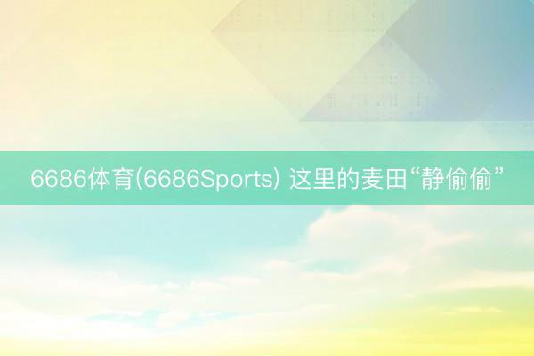 6686体育(6686Sports) 这里的麦田“静偷偷”