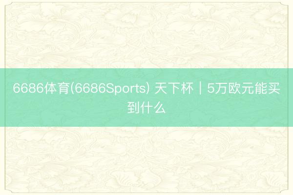 6686体育(6686Sports) 天下杯|5万欧元能买到什么