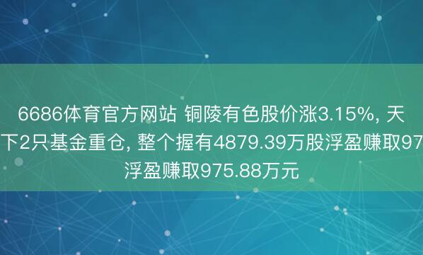 6686体育官方网站 铜陵有色股价涨3.15%, 天弘基金旗下2只基金重仓, 整个握有4879.39万股浮盈赚取975.88万元